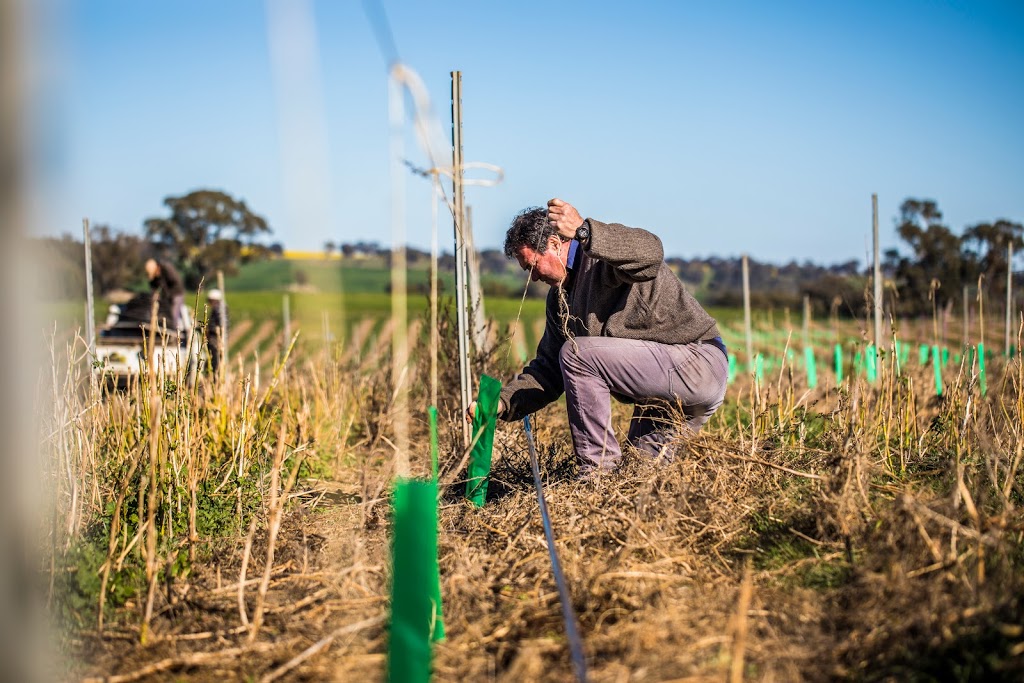 Grove Estate Wines | 4100 Murringo Rd, Young NSW 2594, Australia | Phone: (02) 6382 6999