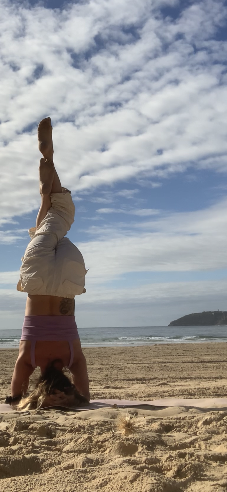 FreeForm | 1200 Pittwater Rd, Narrabeen NSW 2101, Australia | Phone: 0410 577 184