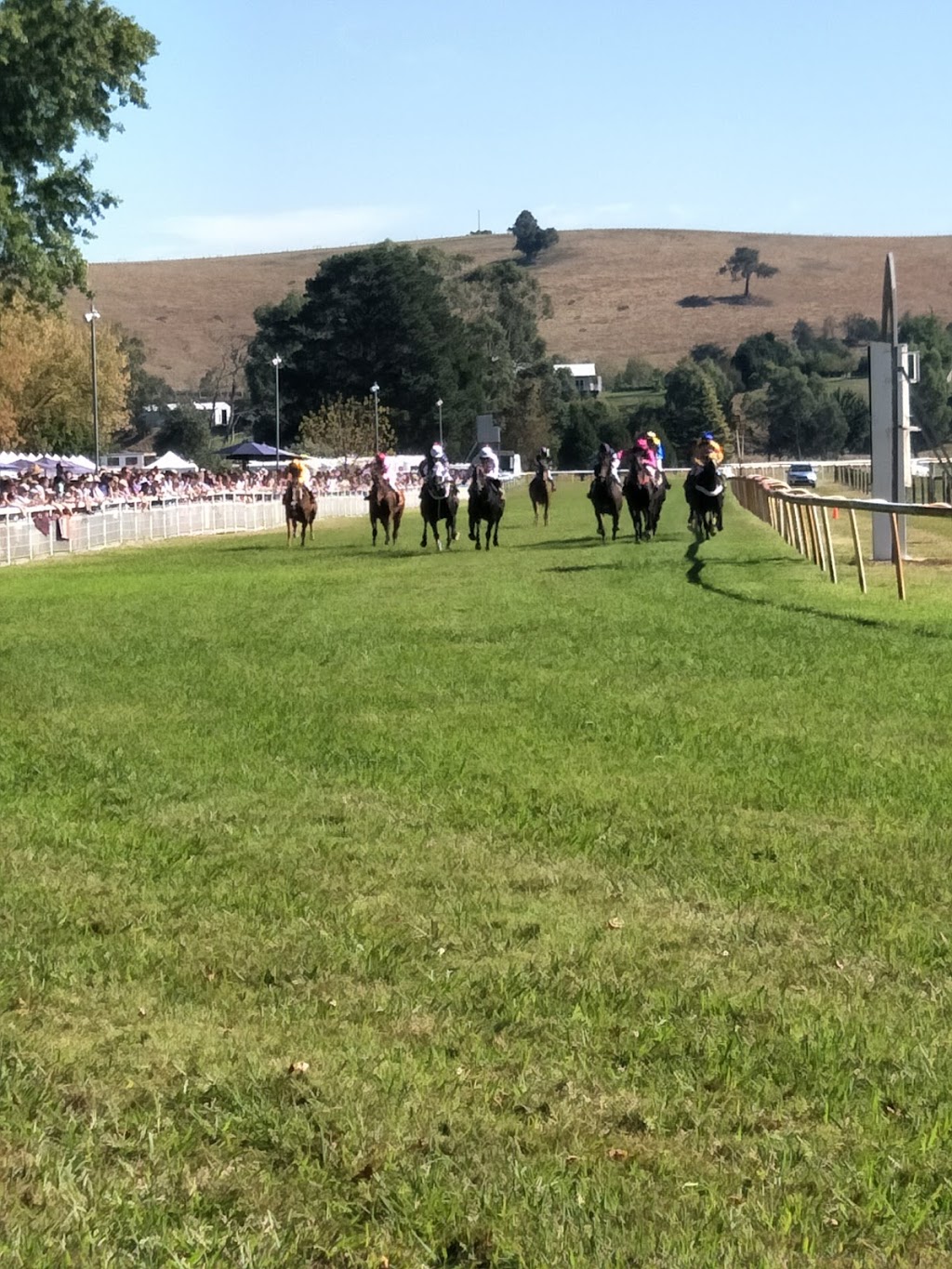 Healesville Amateur Racing Club | Healesville-Kinglake Rd, Healesville VIC 3777, Australia | Phone: 0417 380 298