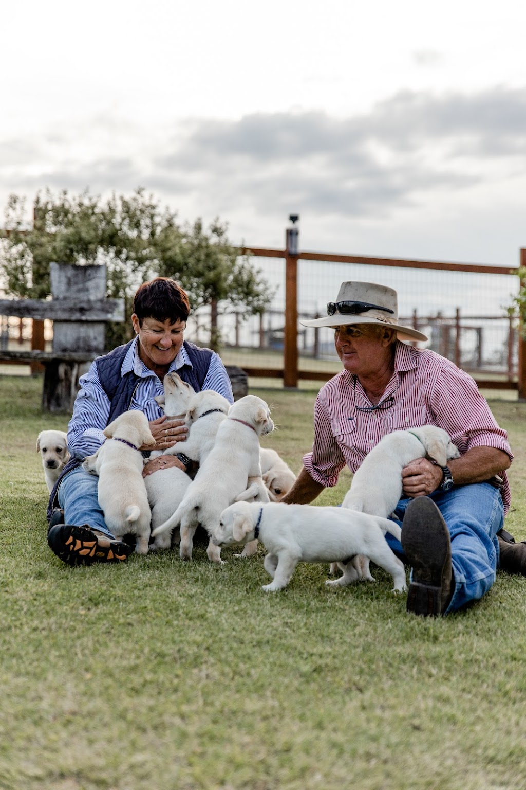 Dowlfalls Labradors | 102 Dowlings Falls Rd, Toorooka NSW 2440, Australia | Phone: 0428 671 252