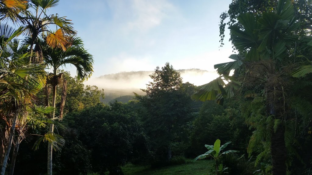 Kuranda Rainforest Journeys ATV & Quad bike tours | 1015 Kennedy Hwy, Kuranda QLD 4881, Australia | Phone: 0402 318 630