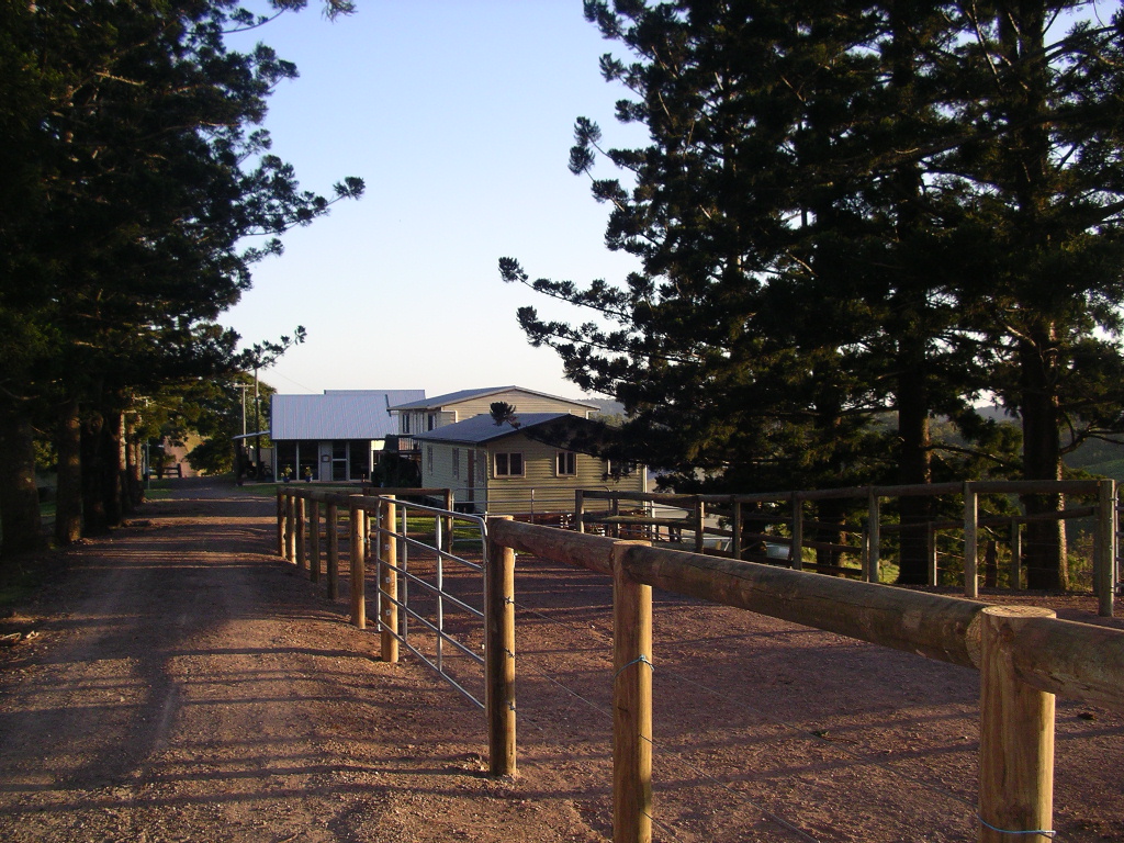 Kiah Park Horse Riding Camp | travel agency | 578 Beenham Valley Rd, Beenaam Valley QLD 4570, Australia | 0754866166 OR +61 7 5486 6166