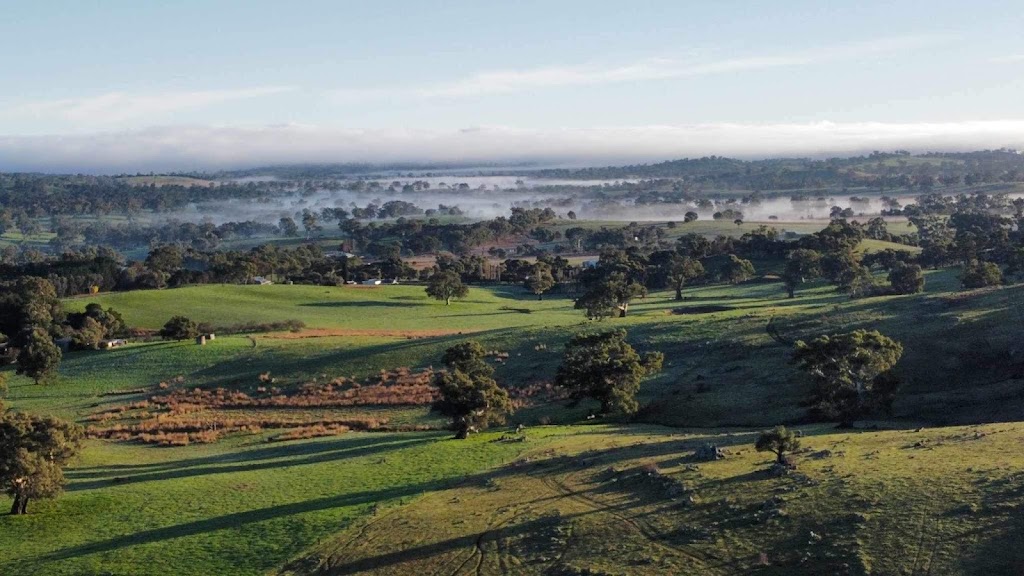 Brockenchack Wines Retreat Bed & Breakfast | 73 Mount McKenzie Rd, Mount McKenzie SA 5353, Australia | Phone: (07) 5458 7700