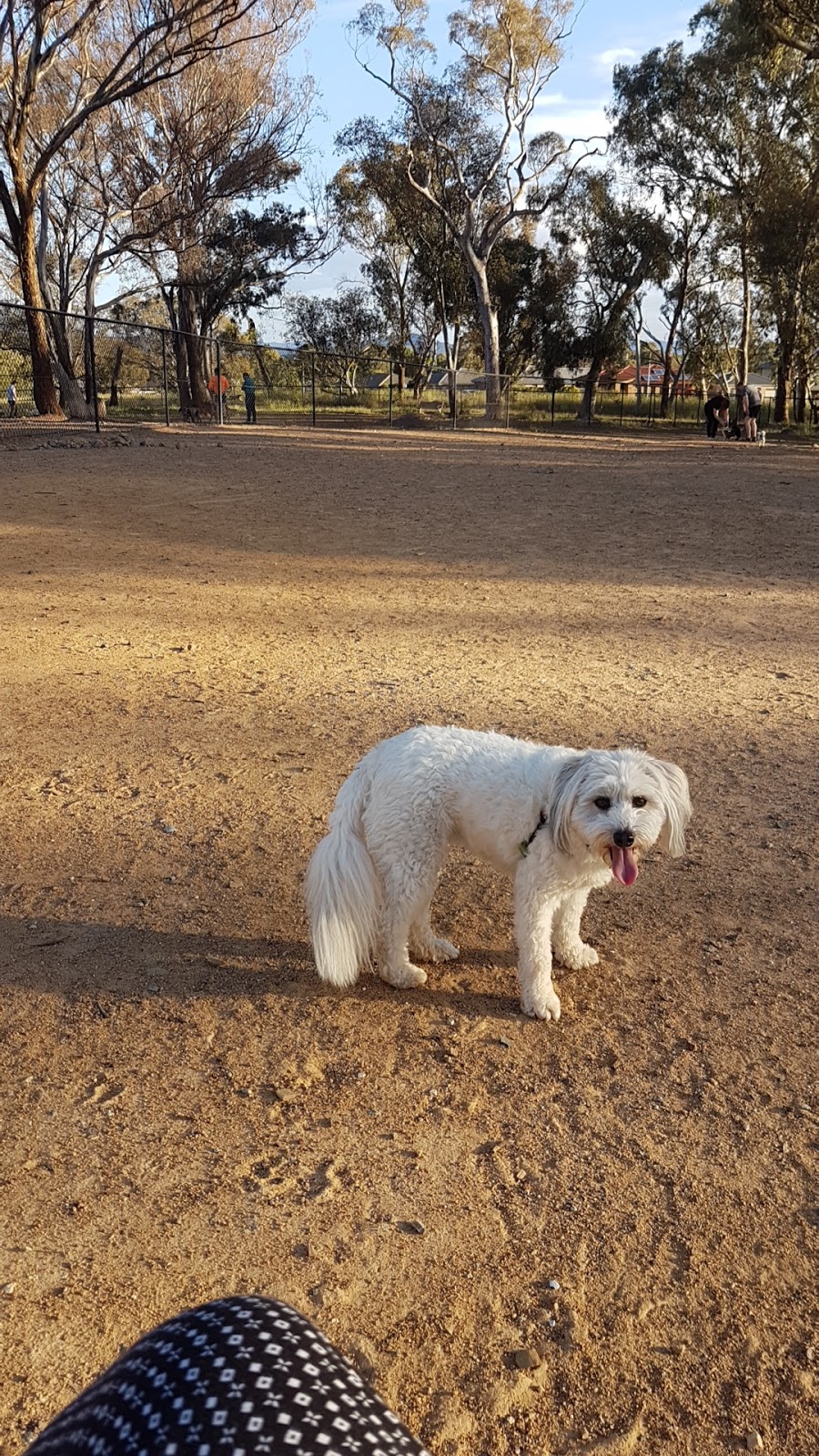 Springbank Rise Dog Park | Casey ACT 2913, Australia | Phone: 13 22 81