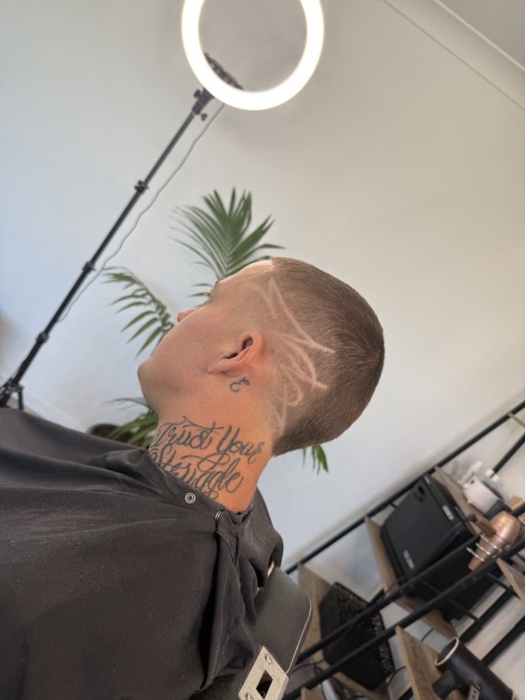 Mrgreencuts | 77 Tivoli Ave, Greenbank QLD 4124, Australia | Phone: 0421 051 713