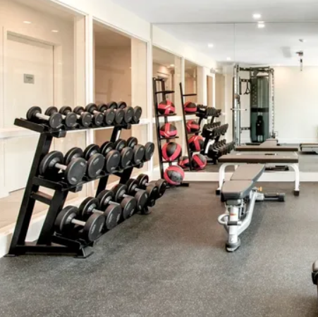 FIINESSE - ACTIVE GEAR | Sydney Agnes Banks, New South Wales NSW, Agnes Banks NSW 2000, Australia | Phone: 0404 535 330