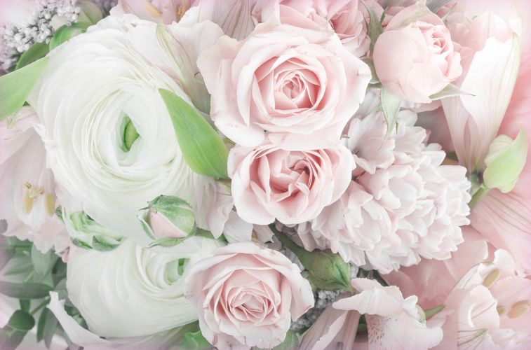 love grow bloom | florist | Davis Cct, Murrumbateman NSW 2582, Australia | 0407426232 OR +61 407 426 232