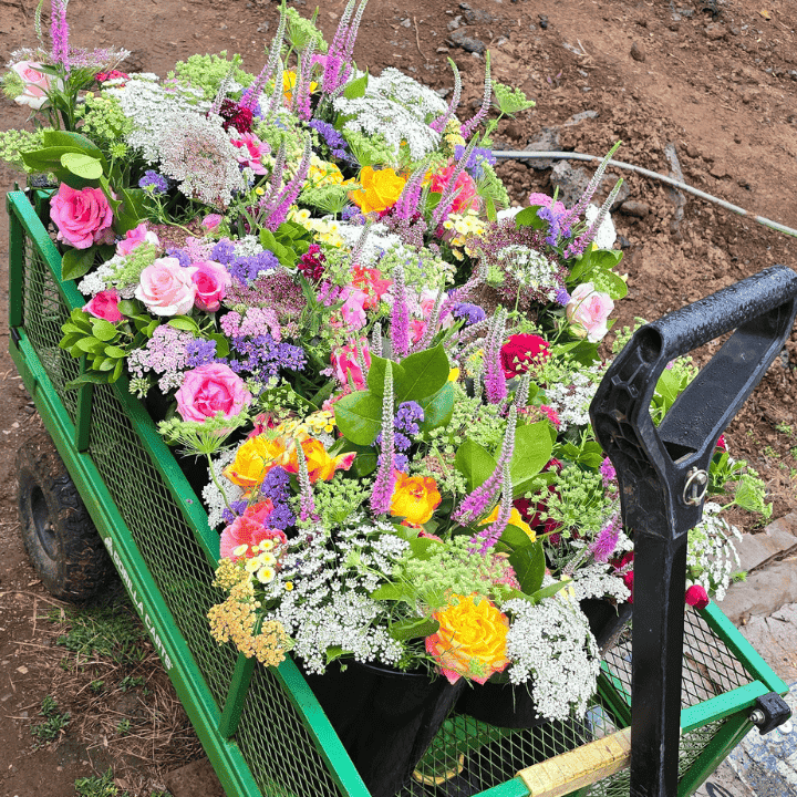 Conerin Farm Flowers Kyneton | 293 Sebastopol Rd, Kyneton VIC 3444, Australia | Phone: 0415 353 403