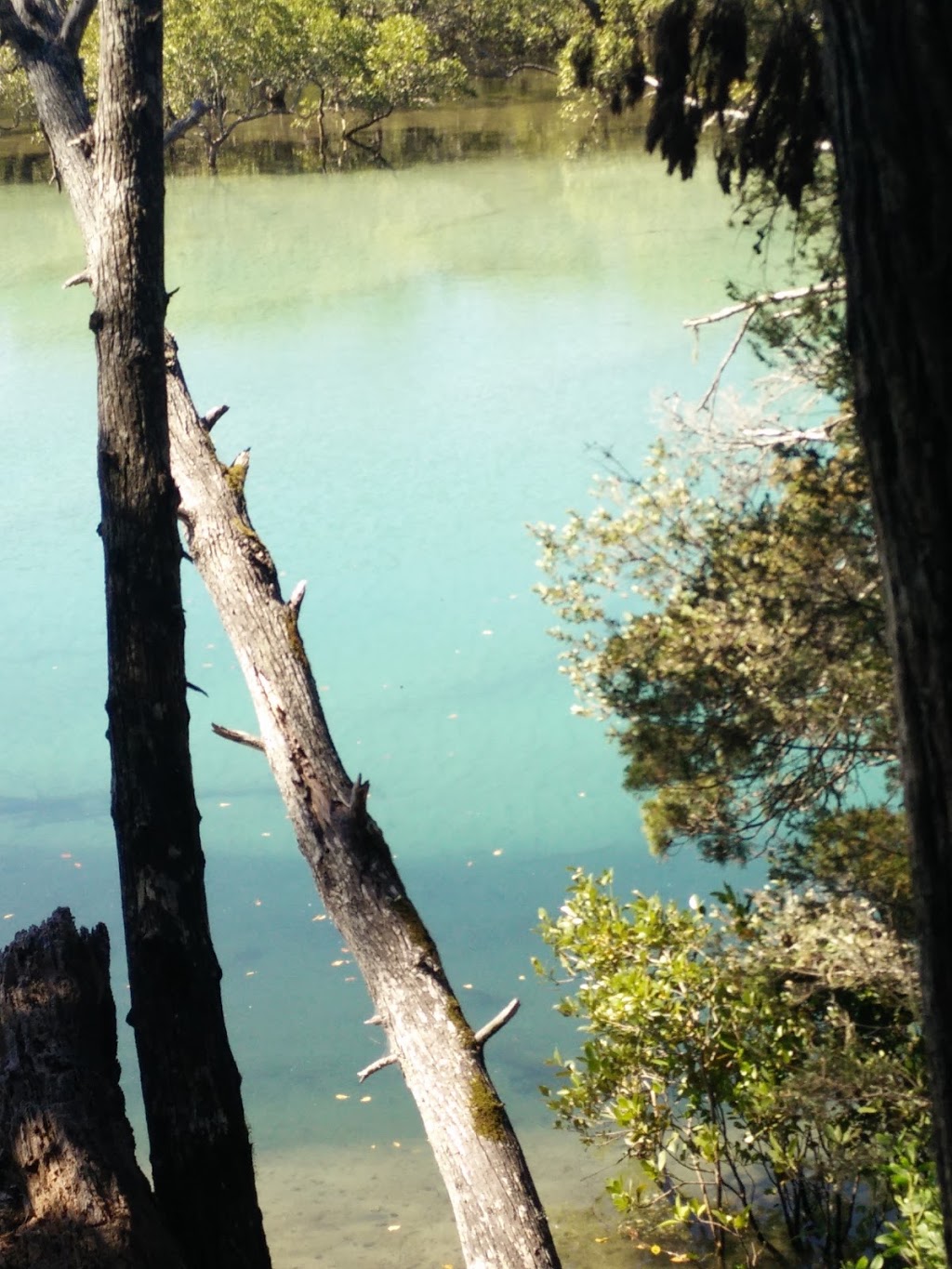 Pilgrim Memorial Reserve | park | Old Pacific Highway, Brunswick Heads NSW 2483, Australia