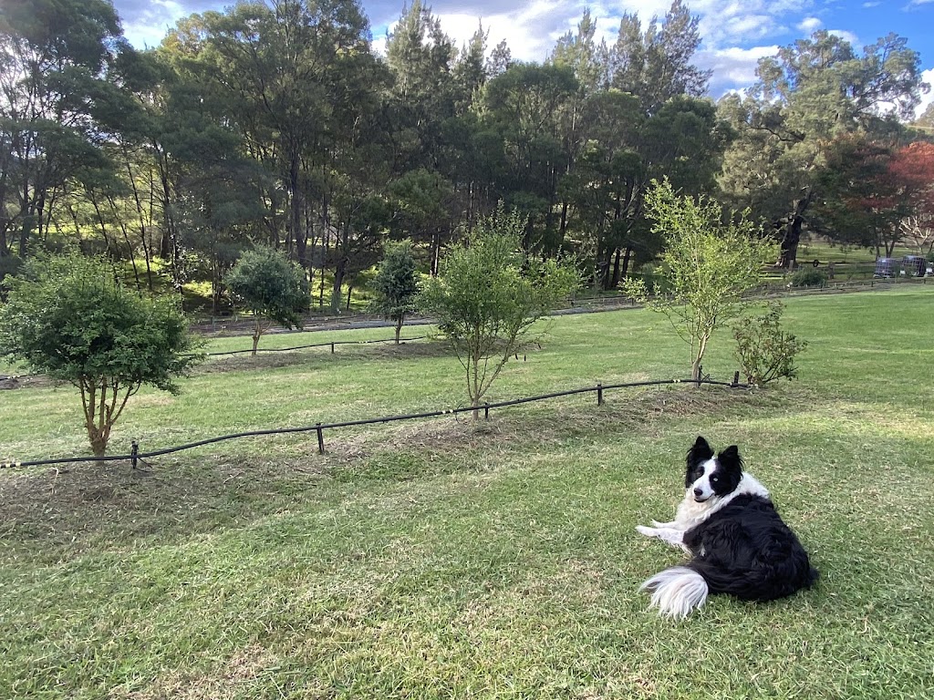 Glen Oaks Farm | 27 Little Glen Oaks Rd, Greendale NSW 2550, Australia | Phone: 0458 015 655