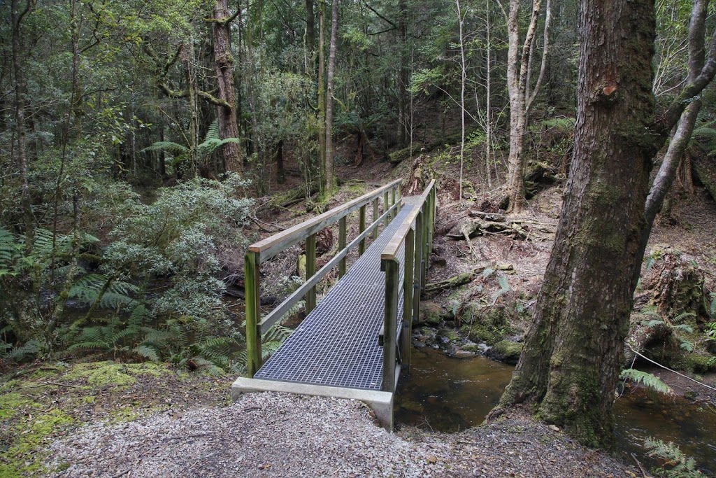 Julius River Rainforest Walk | park | South Arthur Forest Drive, West Coast TAS 7330, Australia