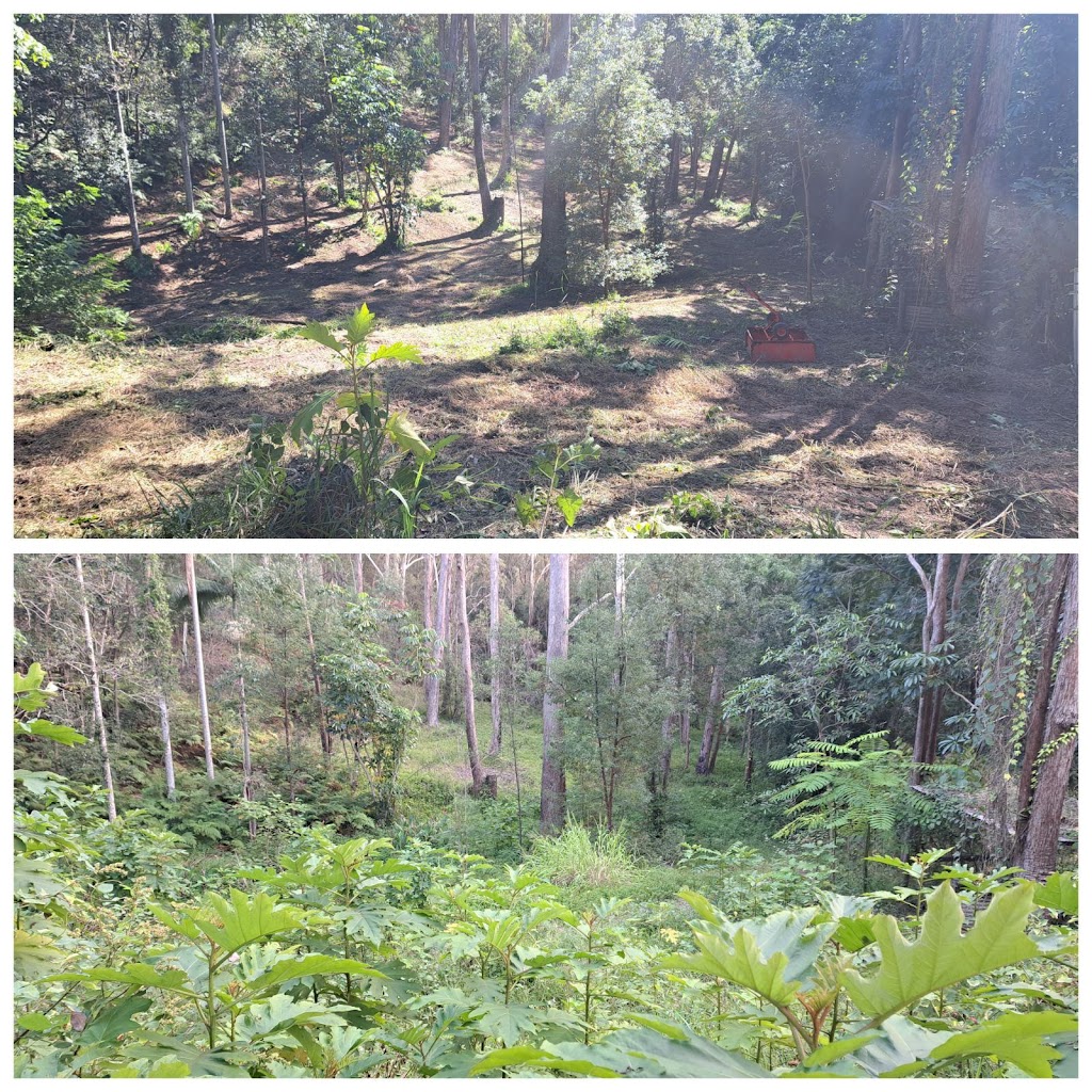 All Terrain Slashing | 145 Nancol Dr, Tallebudgera Valley QLD 4228, Australia | Phone: 0467 430 005