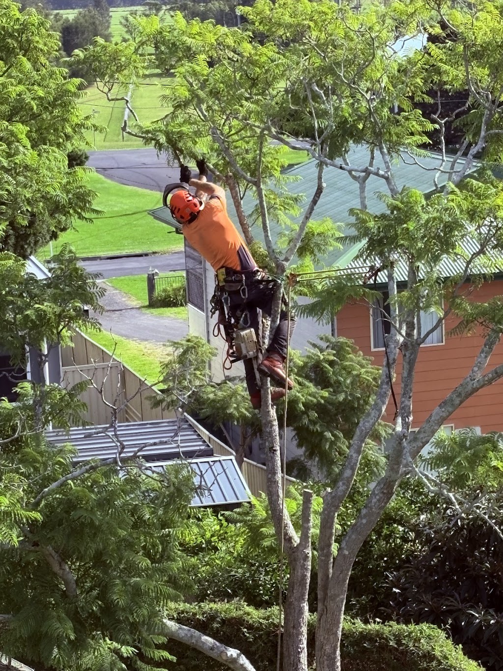 SAWWBONES ARBORICULTURE | 13 Aries Pl, Narrawallee NSW 2539, Australia | Phone: 0481 190 566