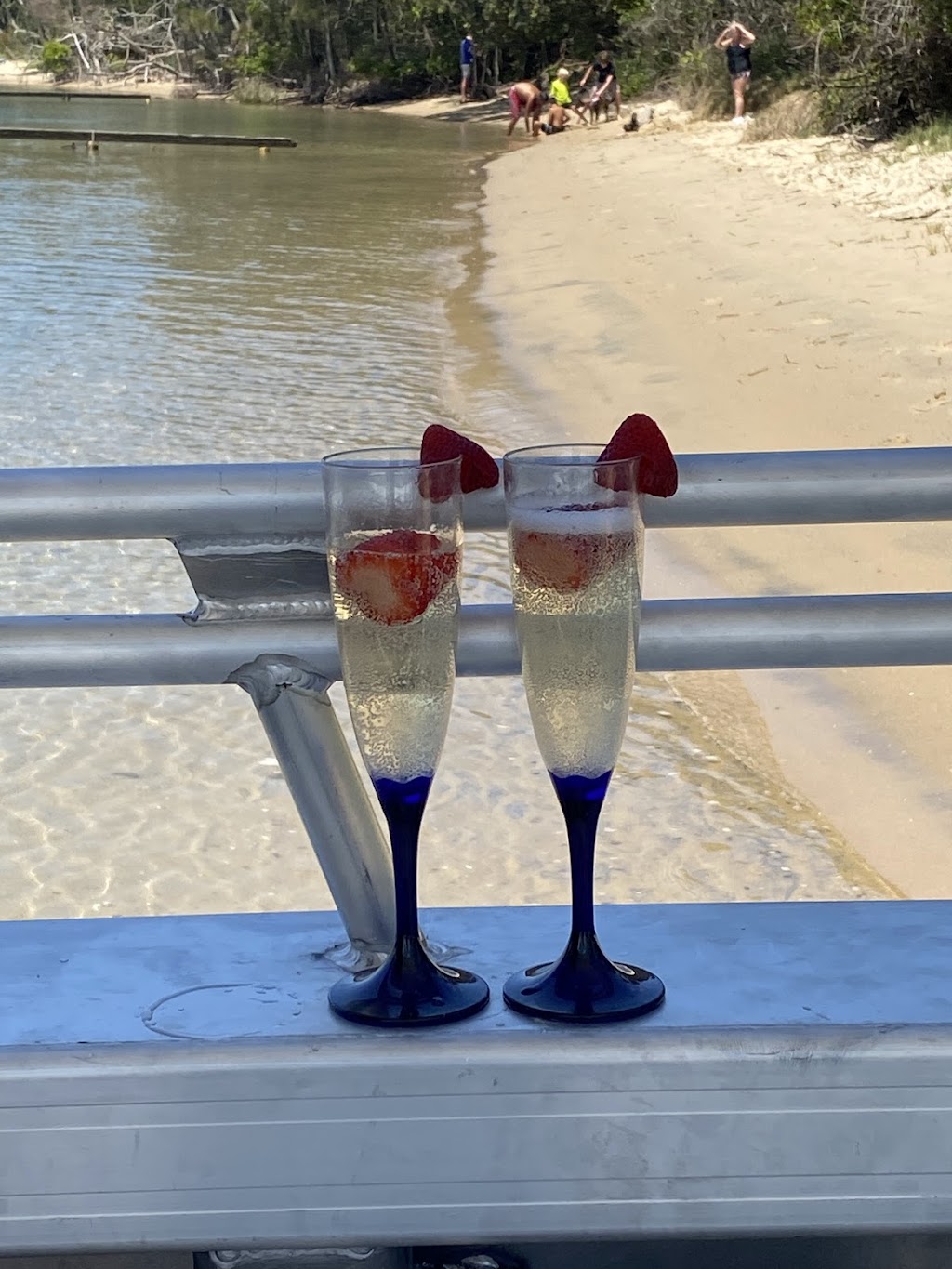 Manning River Ferry Services - Manning Point | 99 Main Rd, Manning Point NSW 2430, Australia | Phone: 0415 563 204