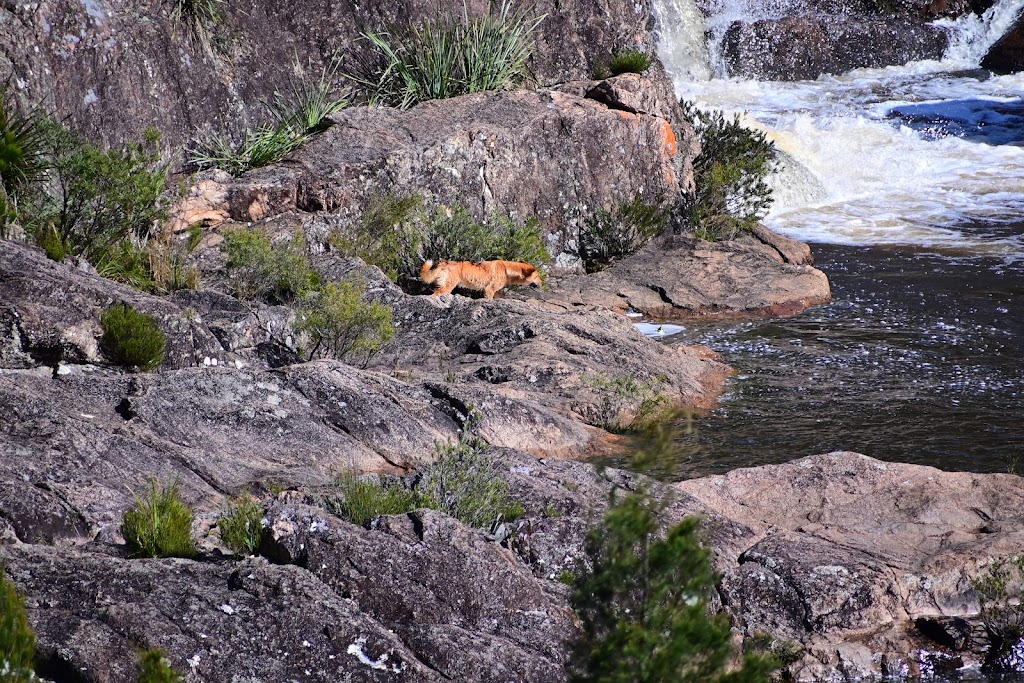 Rockpools View walk | Boonoo Boonoo Falls Walk, Boorook NSW 2372, Australia | Phone: (02) 6739 0700