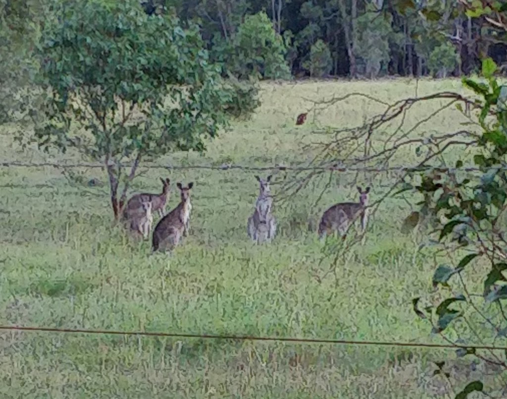 Racecourse Lane Wines | 28 Racecourse Ln, Pokolbin NSW 2320, Australia | Phone: 0408 242 490