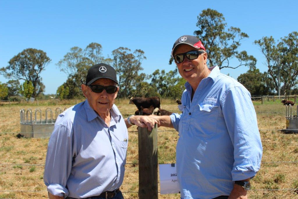 Wanrua Poll Herefords | 169 Websters Rd, Newry VIC 3859, Australia | Phone: 0408 451 392