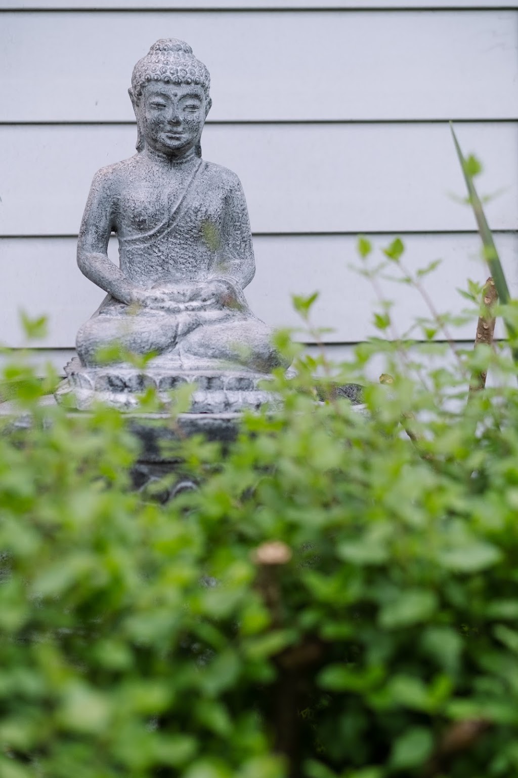 The Shed Yoga | 33 Lake Conjola Entrance Rd, Lake Conjola NSW 2539, Australia | Phone: 0414 744 464
