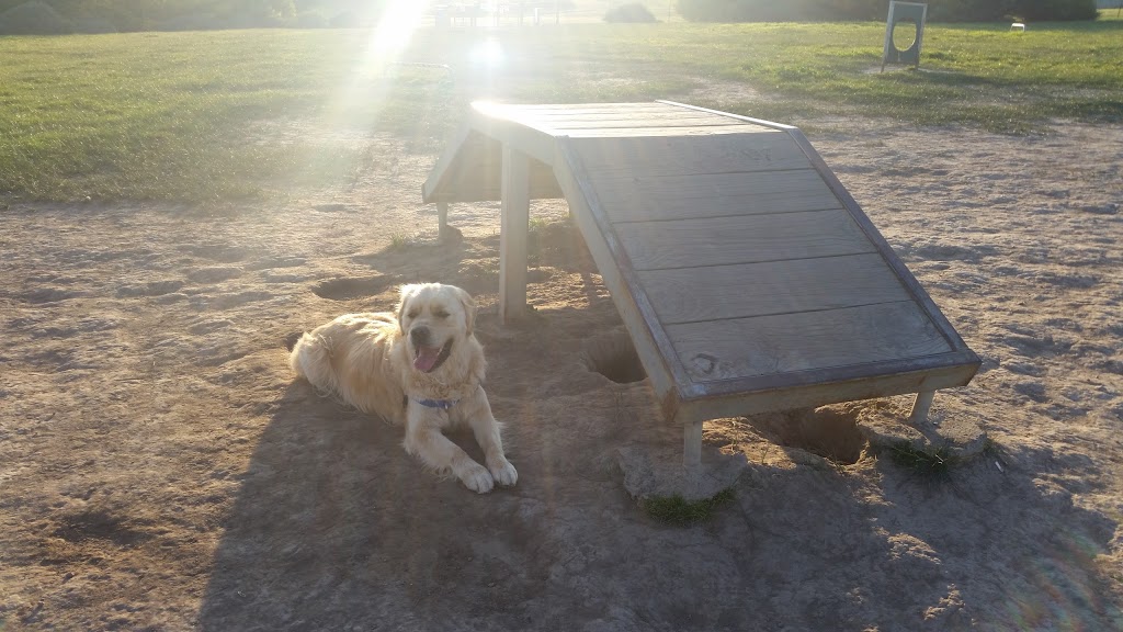 Mill Park Dog Off Leash Park | park | Kangaroo Terrace, South Morang VIC 3752, Australia