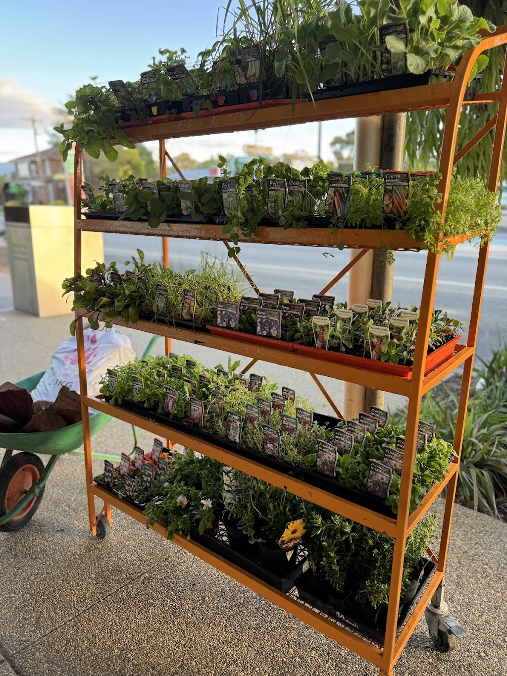 The Rustic Pear | 101B Market St, Balranald NSW 2715, Australia | Phone: 0400 278 580