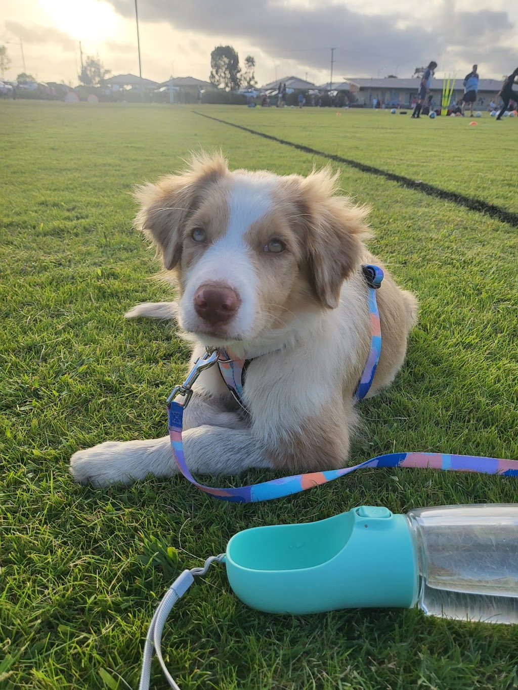 Mona Cottage | 14-18 Mona Rd, Woongarrah NSW 2259, Australia | Phone: 0436 360 834