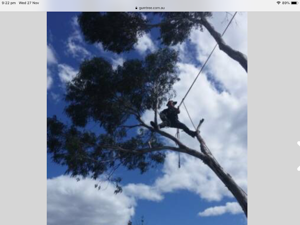 Tree Way Is The Right Way | 7 Southview Cres, New Norfolk TAS 7140, Australia | Phone: 0480 662 907