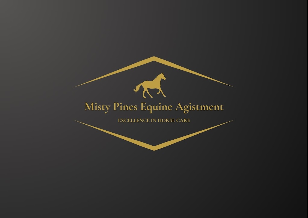 Misty Pines Equine Agistment | 6 Carribee Cl, Berrima NSW 2577, Australia | Phone: 0427 464 242