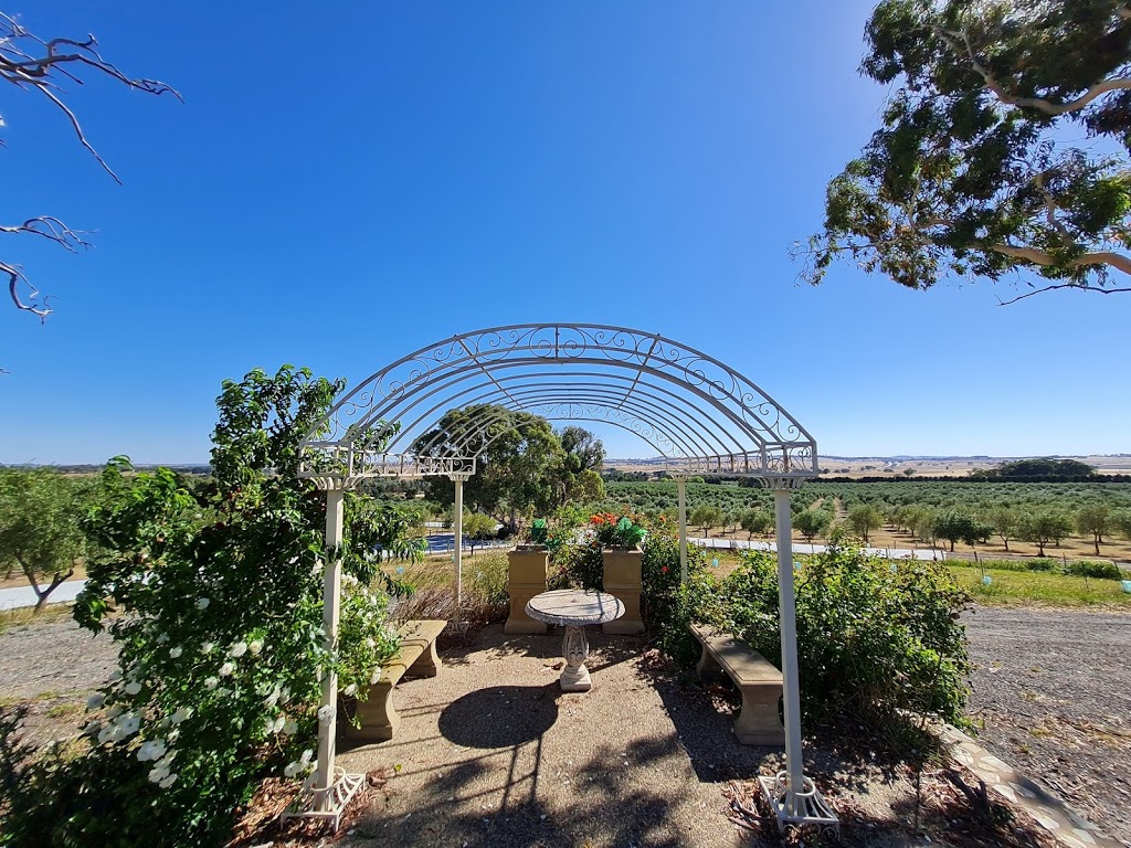 Fedra Olive Grove | 5796 Federal Hwy, Collector NSW 2000, Australia | Phone: (02) 4848 0111