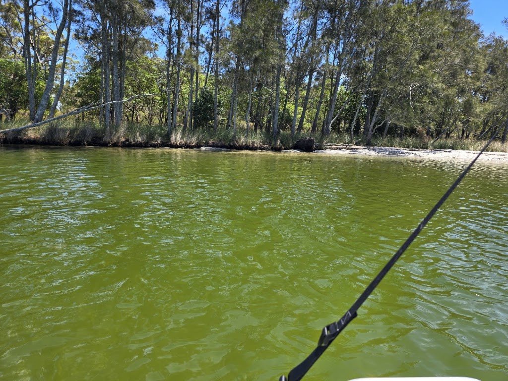 Sussex Inlet Boat Hire | 4 Flood Ave, Sussex Inlet NSW 2540, Australia | Phone: 0493 398 579