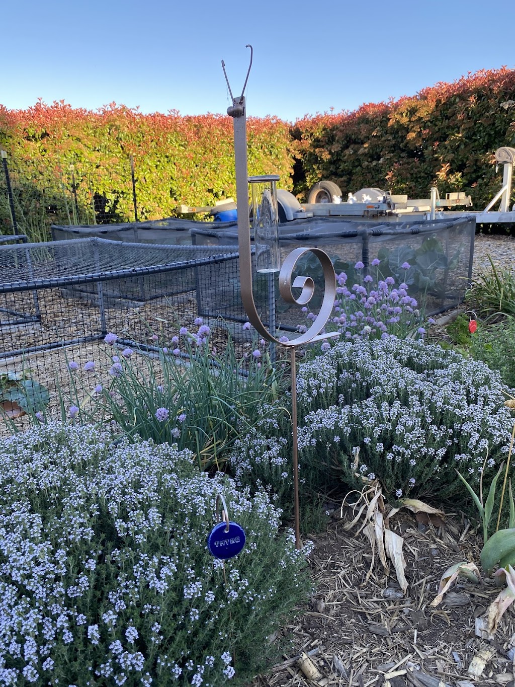 Herbyville House | 7 Park St, Eglinton NSW 2795, Australia | Phone: (02) 6336 9105