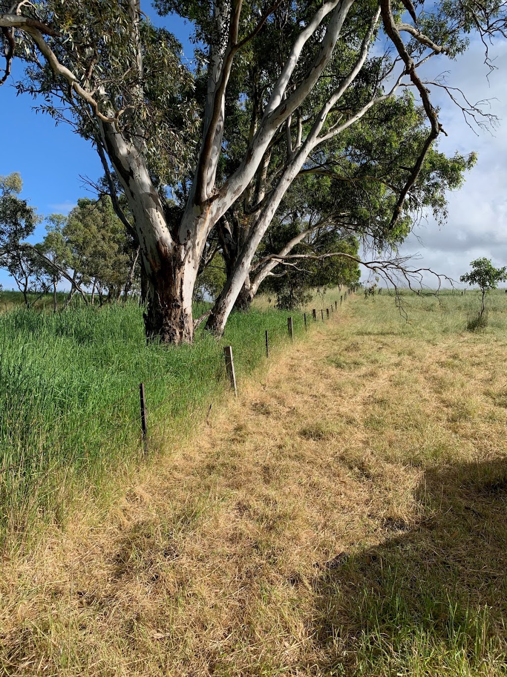 Willson Fencing Services | Angaston Rd, Angaston SA 5353, Australia | Phone: 0429 125 535