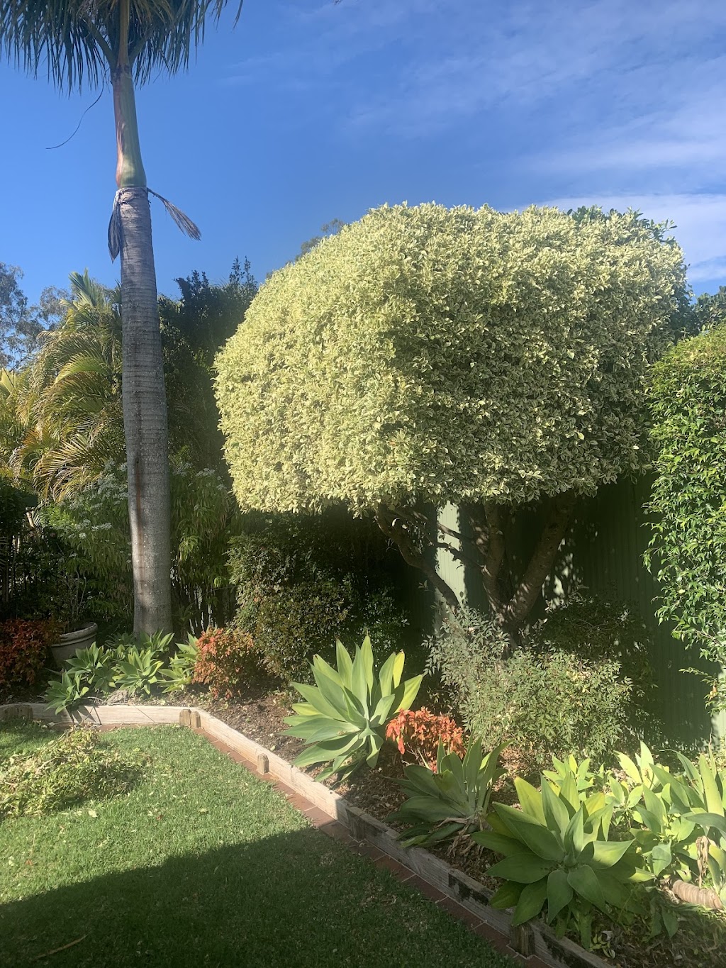 Atlas gardening and maintenance | Kooringal Rd, Munruben QLD 4125, Australia | Phone: 0434 393 407