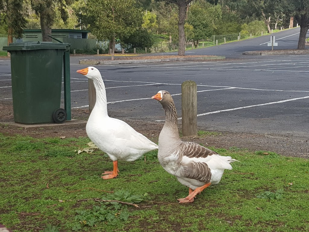 Mount Gambier Valley Lake | Elliott Dr, Mount Gambier SA 5290, Australia | Phone: (08) 8724 9750