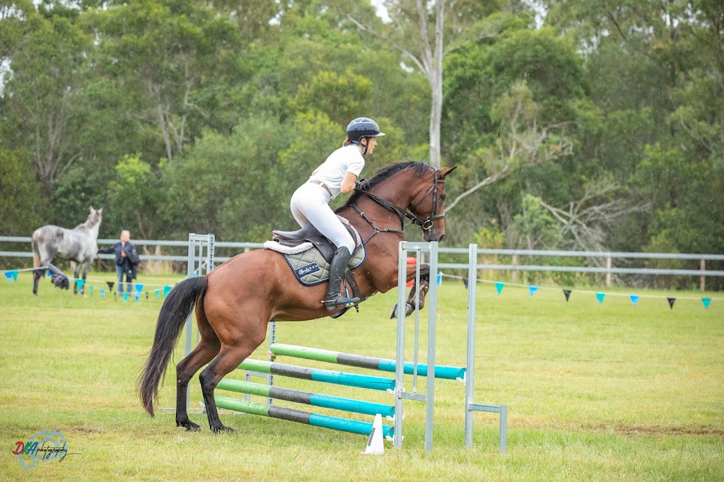 Hiddy and Co | 80 Upper Crystal Creek Rd, Upper Crystal Creek NSW 2484, Australia | Phone: 0412 040 636