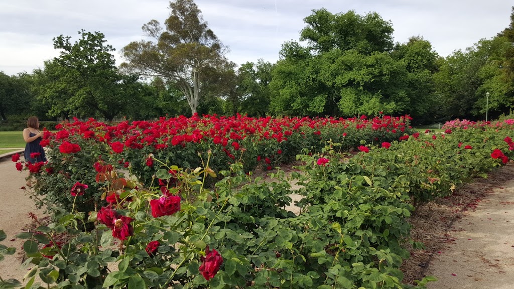 Benalla Rose Garden And Playground | park | w 3672, 2 Bridge St W, Benalla VIC 3672, Australia