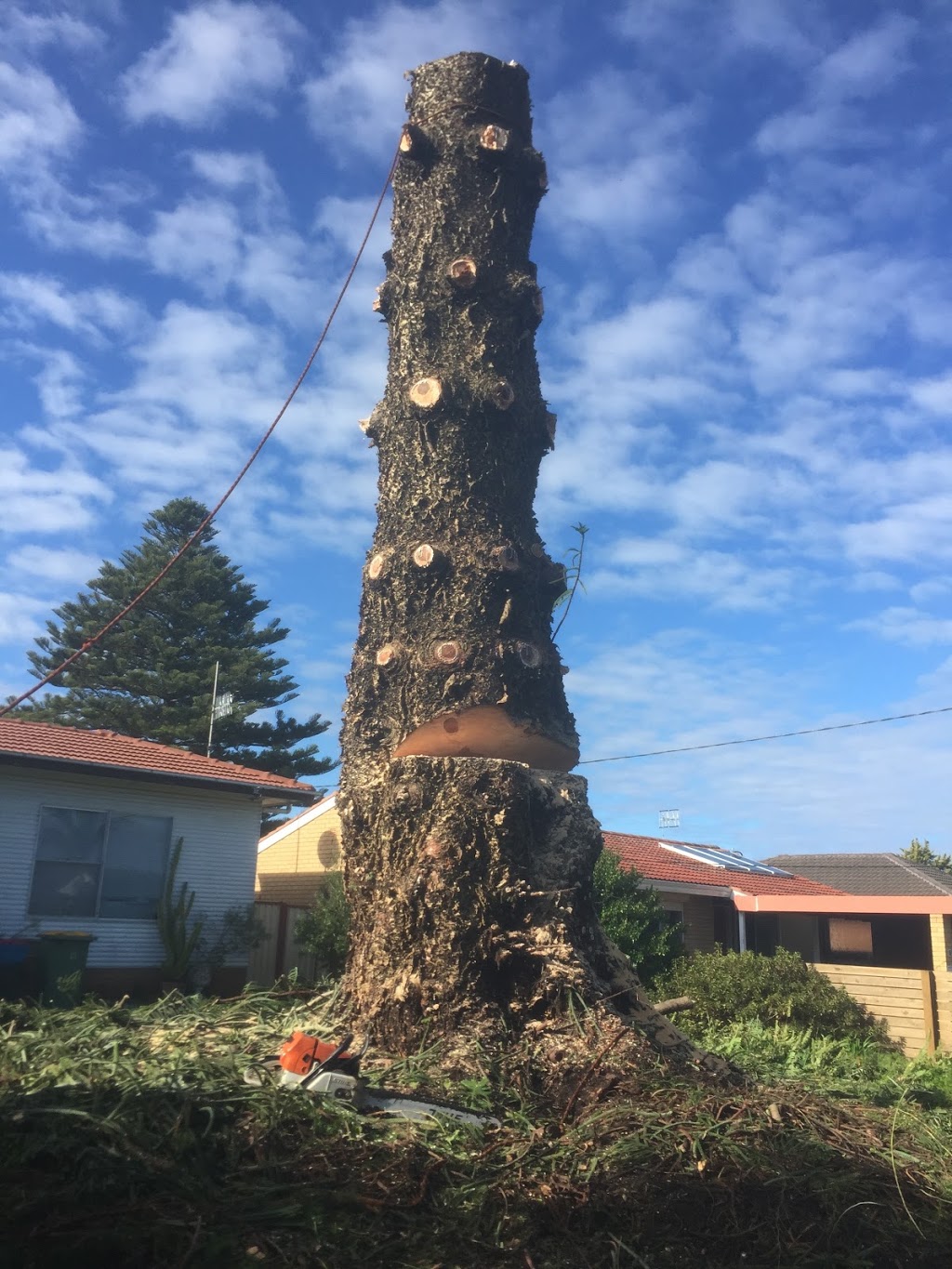 Mark Stewart Tree Services | 125 Woods Rd, Jilliby NSW 2259, Australia | Phone: 0409 111 120