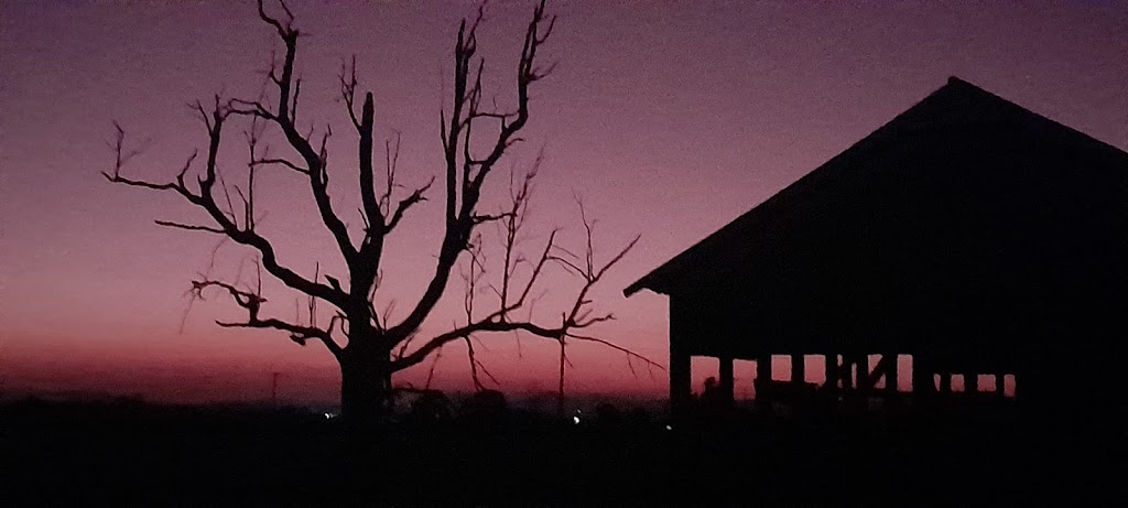 Lone Soldier Shuttle Service | Ellen Ave, Singleton NSW 2330, Australia | Phone: 0467 008 840