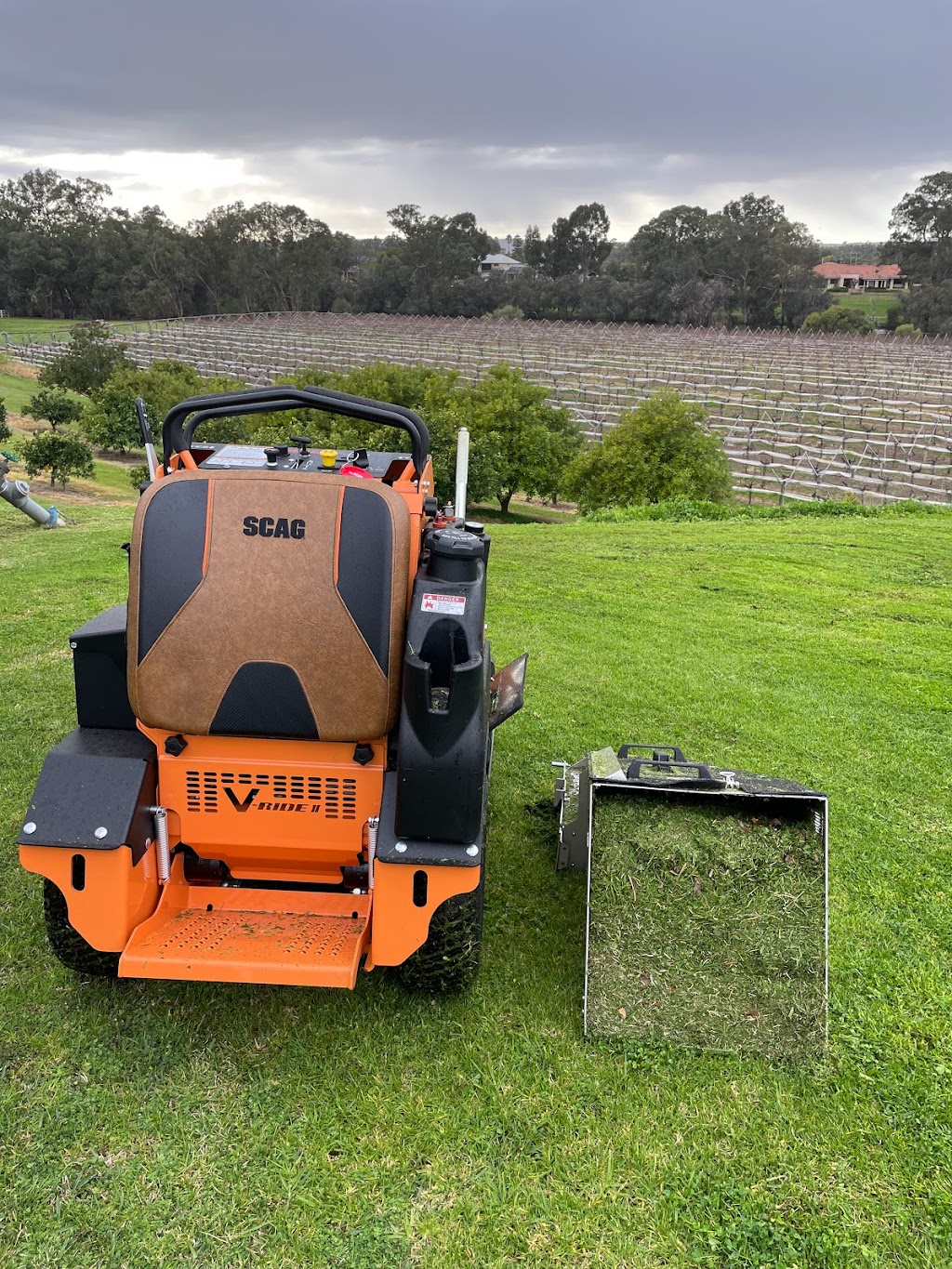 Momentum Mowing Services | general contractor | 65 Pinegrove Drive, Ellenbrook WA 6069, Australia | 0419947580 OR +61 419 947 580