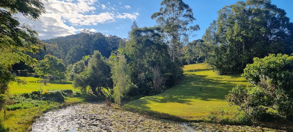 Lilypad Stay | 950 Rodeo Dr, Tewinga NSW 2449, Australia | Phone: 0414 475 085
