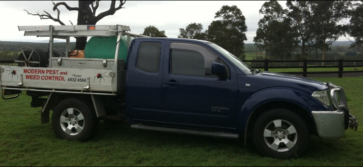 Modern pest and weed control - The Bindi Man | Ravensfield Ln, Bishops Bridge NSW 2326, Australia | Phone: 0412 049 053