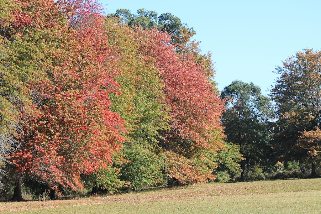 South Gippsland Massage Therapy | S Gippsland Hwy, Koonwarra VIC 3954, Australia | Phone: 0409 955 834 South Gippsland Massage Therapy | S Gippsland Hwy, Koonwarra VIC 3954, Australia | Phone: 0409 955 834