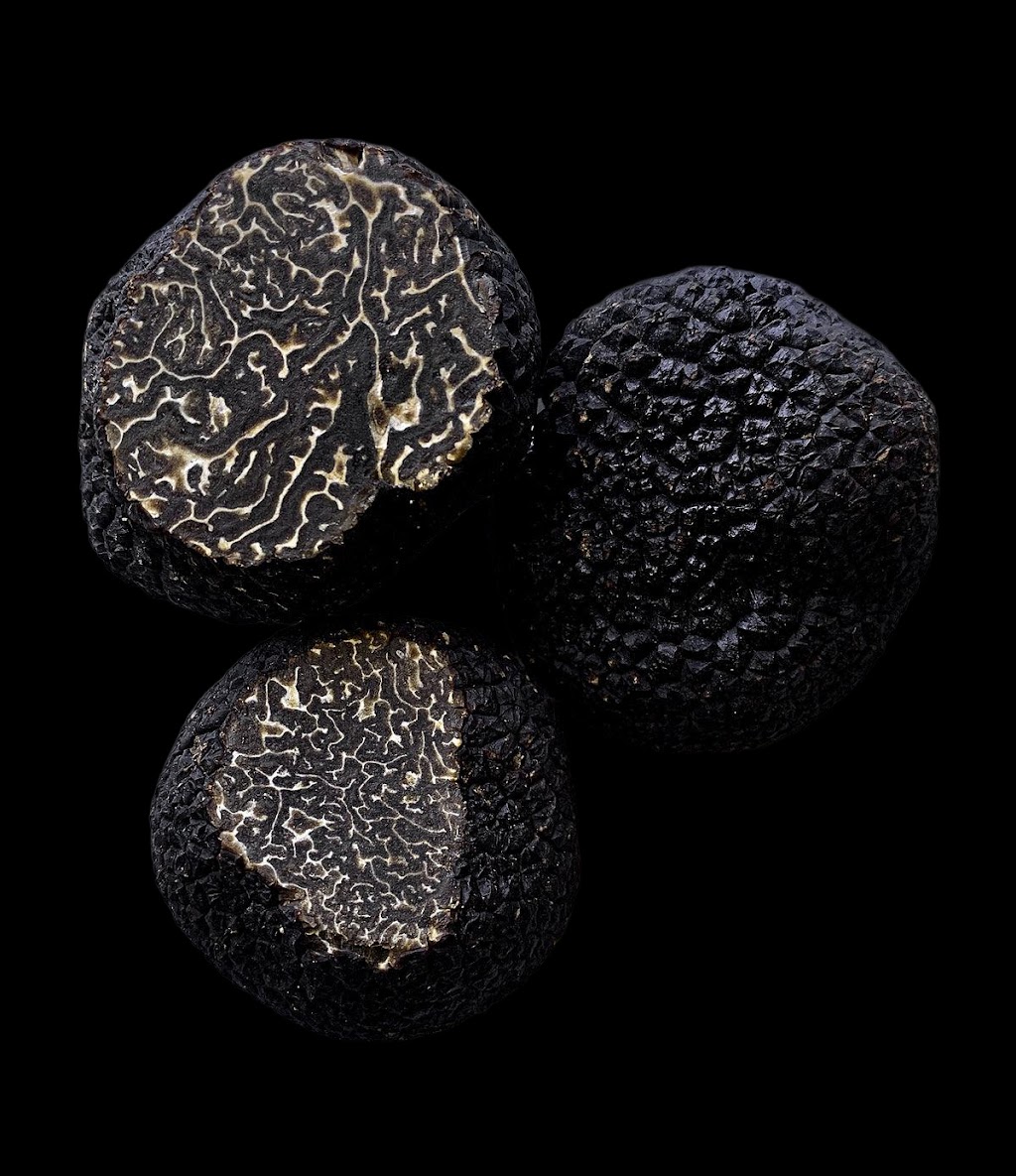 King Truffle Farm | 3492 Whittlesea-Yea Rd, Flowerdale VIC 3717, Australia | Phone: 0458 362 370