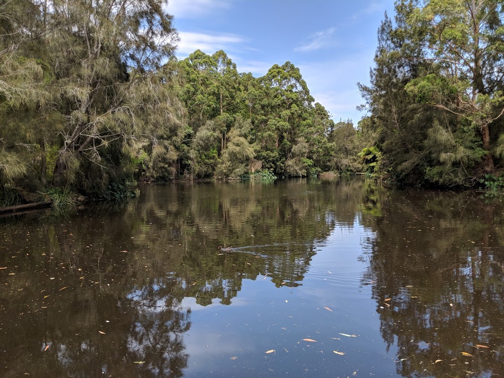 Lane Cove National Park | park | Naamaroo Trail, Lindfield NSW 2070, Australia