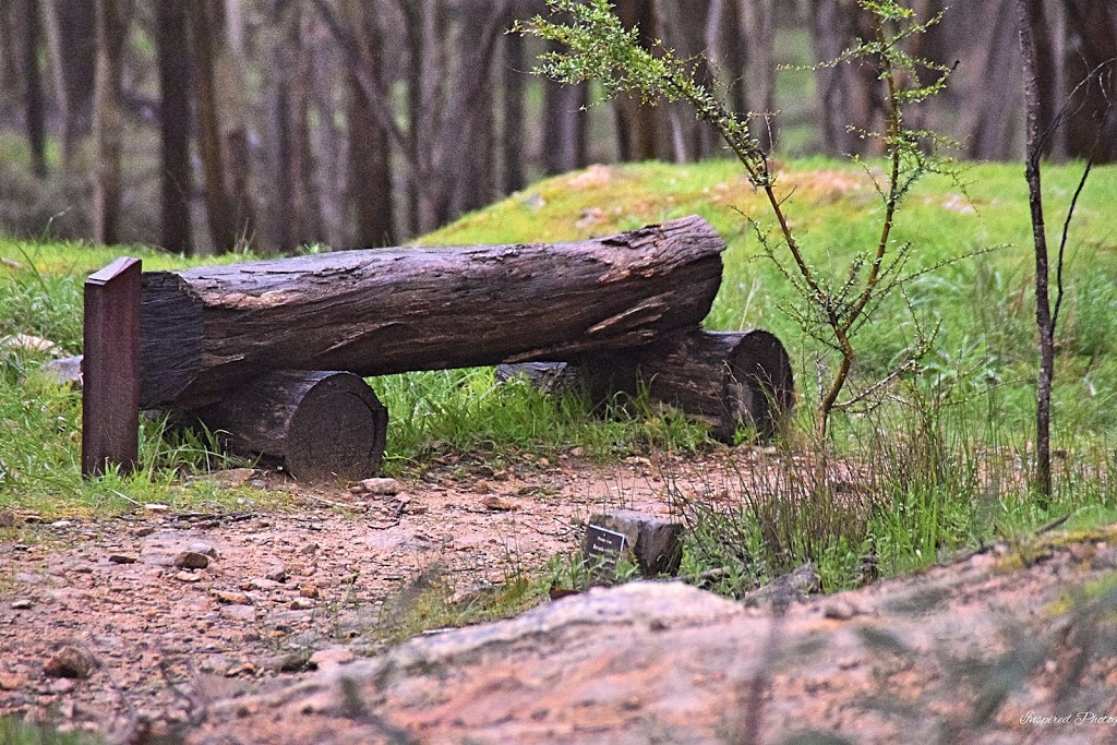 The Pines Reserve | park | Tarlee Rd, Kapunda SA 5373, Australia