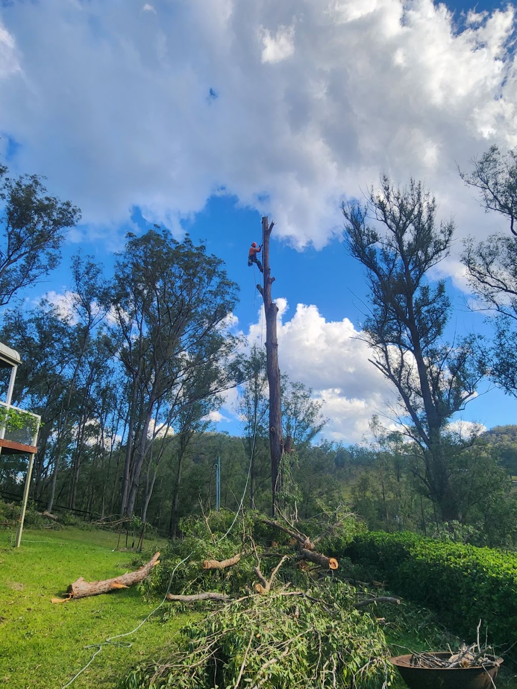 Wollombi Valley Tree Services | 4893 Great N Rd, Fernances Crossing NSW 2325, Australia | Phone: 0411 521 875