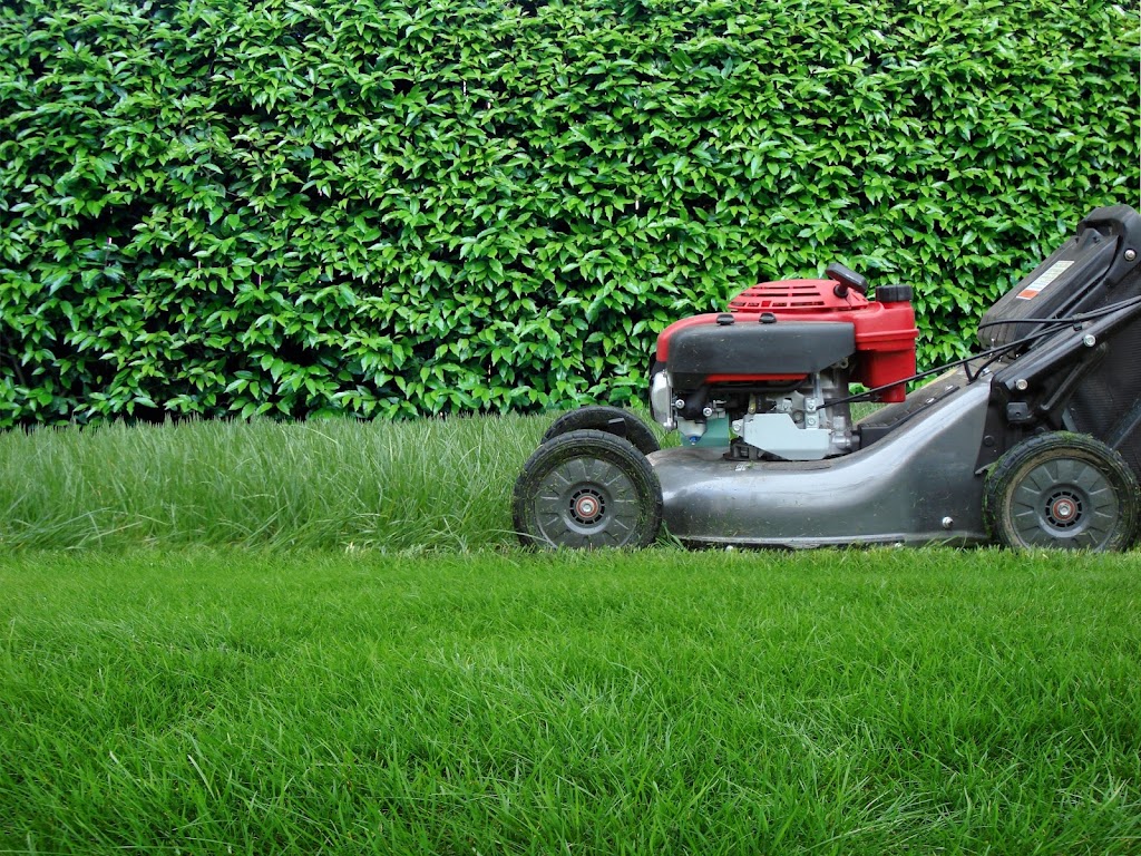 Lawn Avengers |  | 4 Foreshore Bvd, Woolooware NSW 2230, Australia | 0409023166 OR +61 409 023 166
