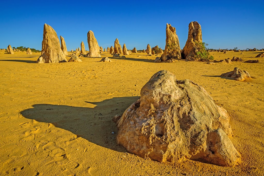 The Pinnacles Desert | tourist attraction | Pinnacles Dr, Cervantes WA 6511, Australia | 0896527913 OR +61 8 9652 7913