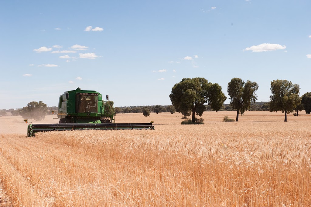 "Bolo" Farm Homestead | 844 Bolo Road, Kiacatoo NSW 2877, Australia | Phone: (02) 9832 2777