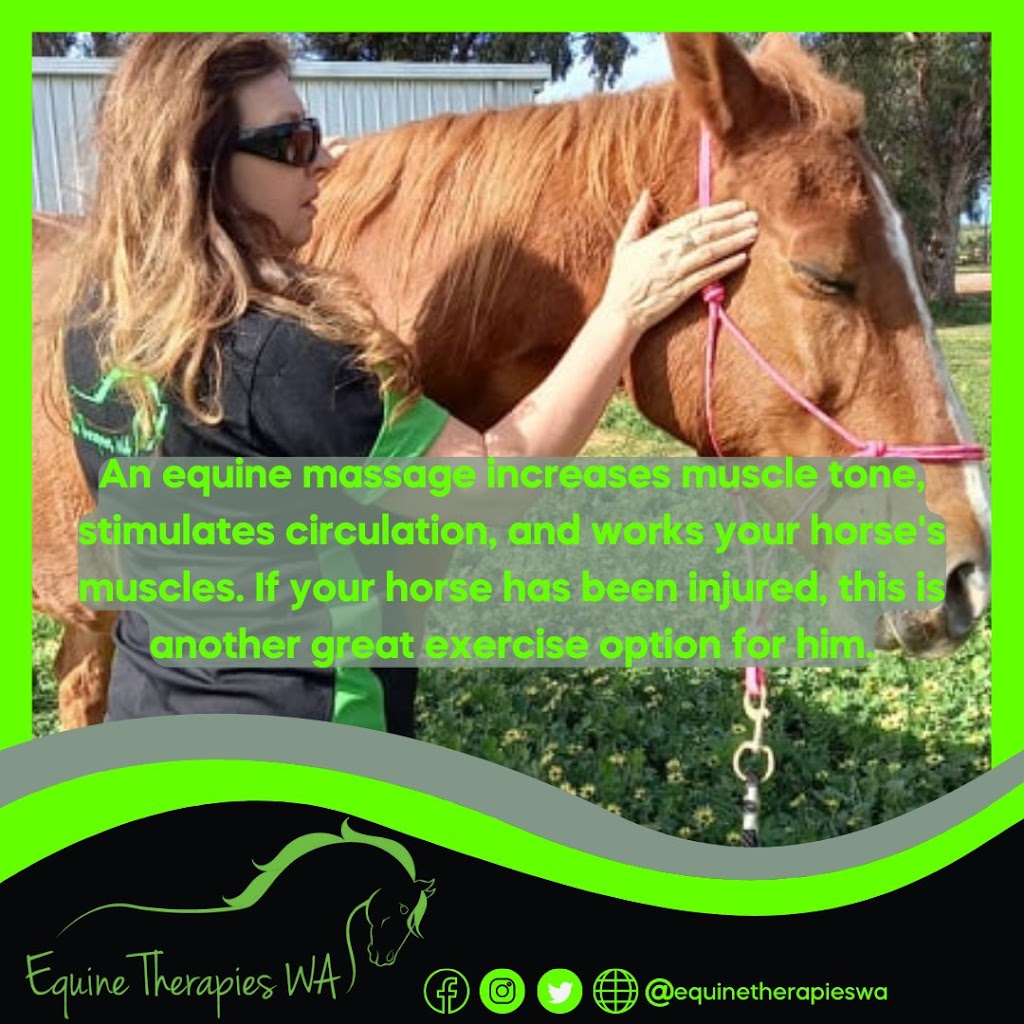 Equine Therapies WA | 1320 Stone St, Chidlow WA 6556, Australia | Phone: 0459 784 608