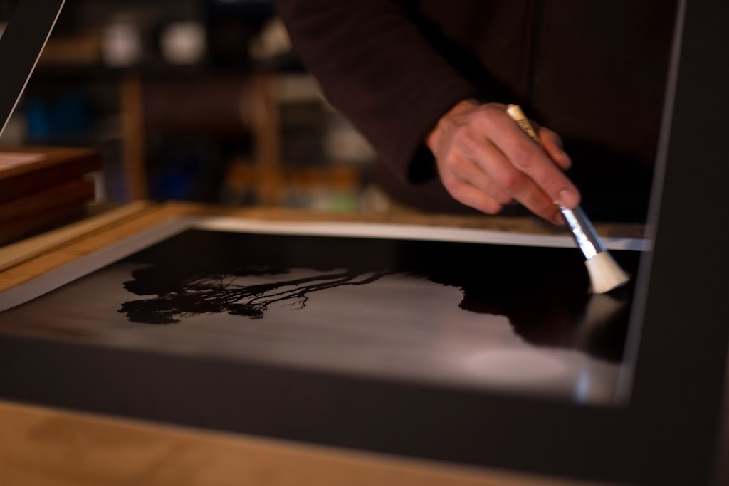 Theia Pictures | 21A Brushy Creek Rd, Lenah Valley TAS 7008, Australia | Phone: 0406 625 041